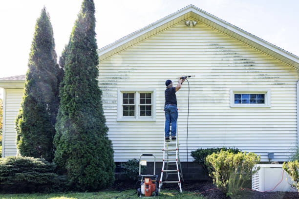 Best Roof Cleaning and Mildew Removal in Britt, IA